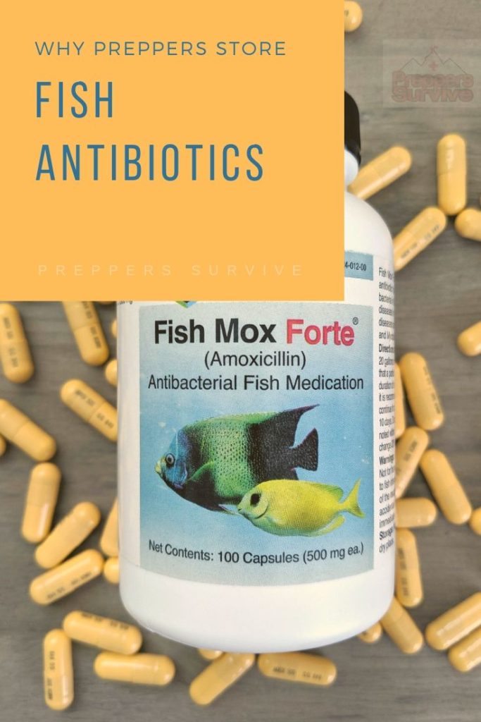 Why do preppers think it's safe to take fish antibiotics? #prepperFishAntibiotics
