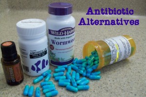 Antibiotic Alterntatives - Herbs, Foods, Teas, Oils, Fish Antibiotics