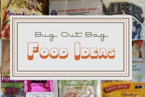 Bug Out Bag Food Ideas