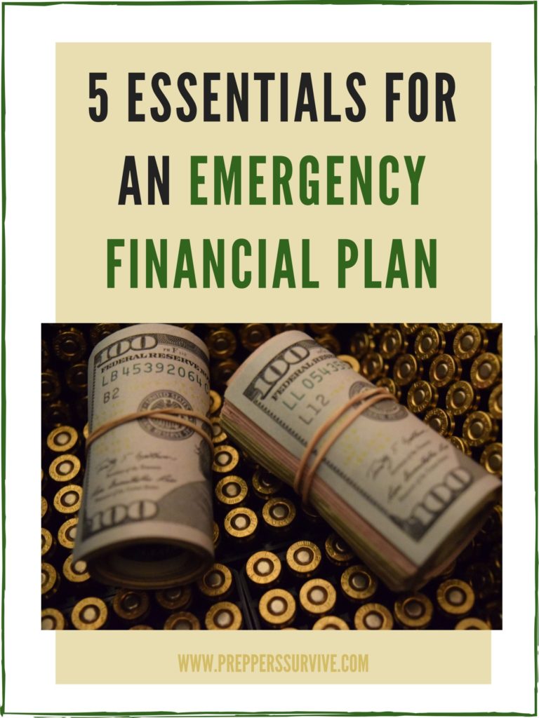 5 Essentials for an Emergency Financial Plan