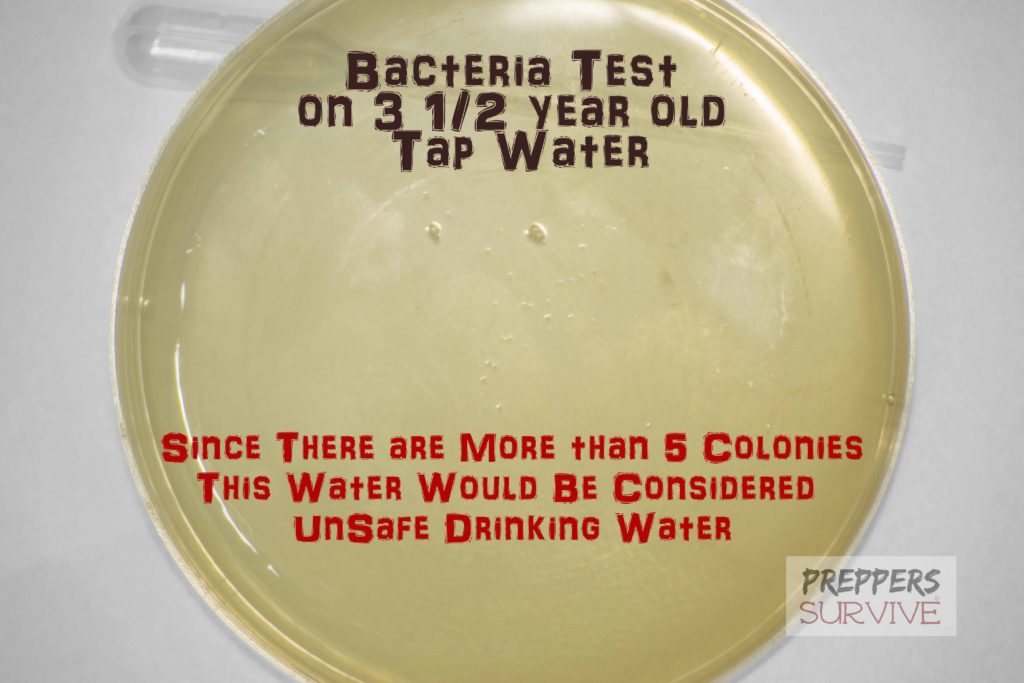 Old Water Storage - ProLab Bacteria in Water Test Kit - Petri Dish - Tap Water Storage