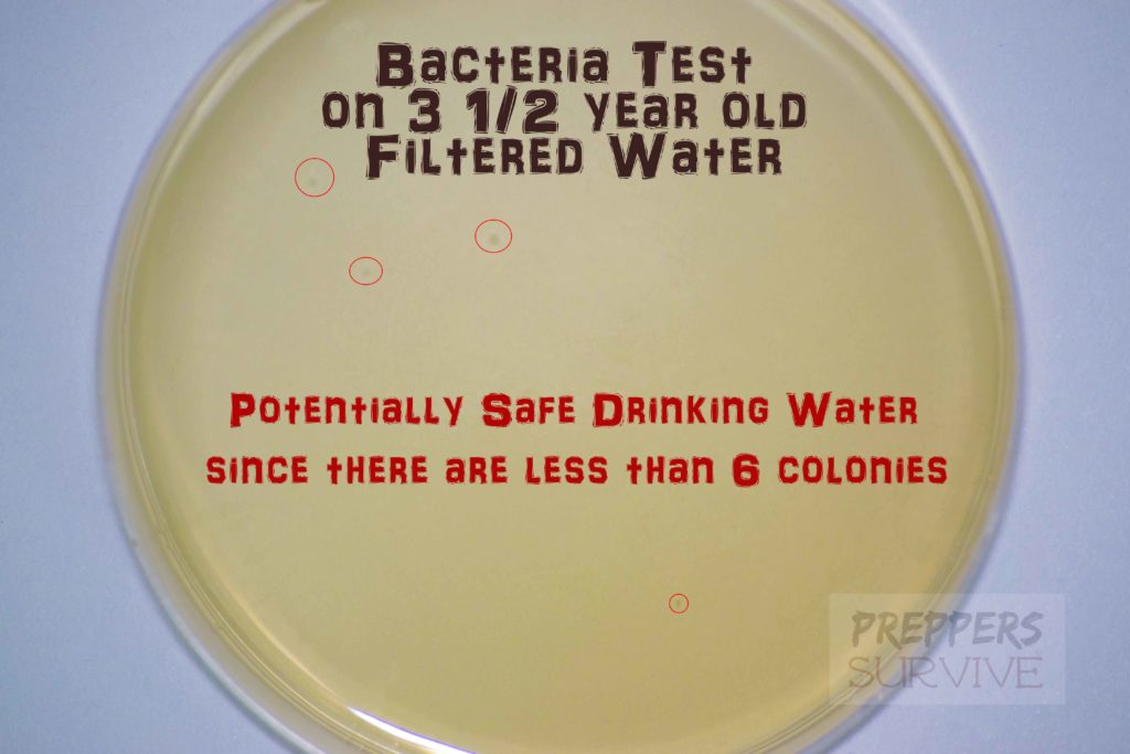 Old Water Storage - Filtered Water Bacteria Test - Image of Bacteria in Water - Preppers Survive