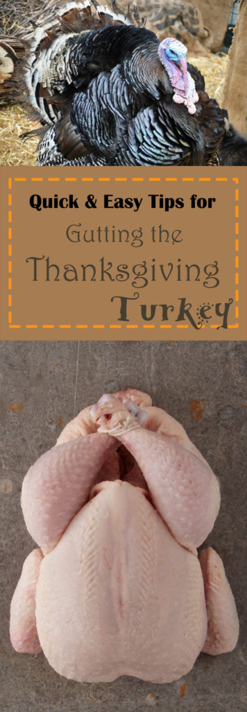 Gutting a Turkey
