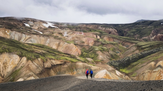 Learn How to Improve Hiking Stamina