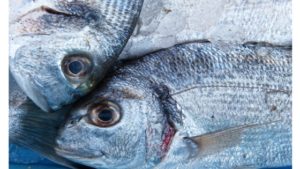 The Demand for Fish Increases RISK of Food Shortages 