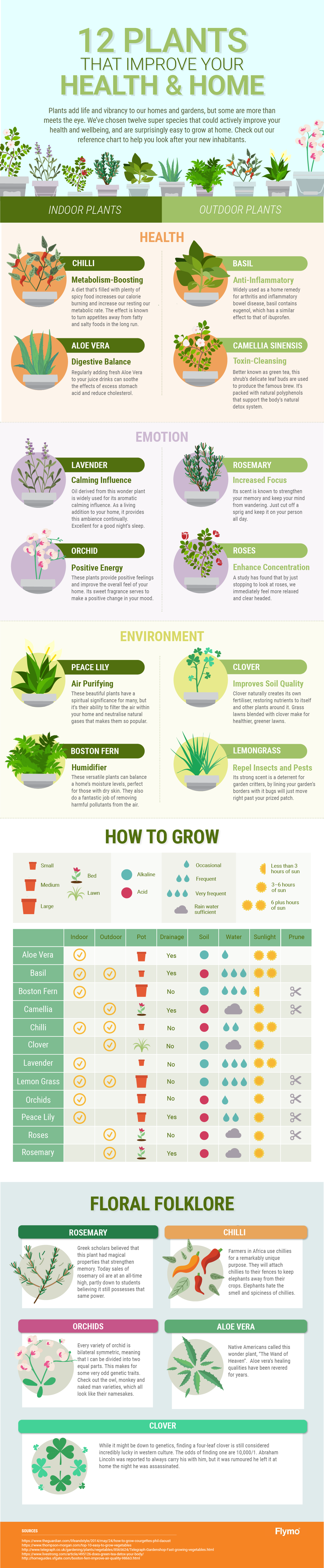 Plants Info Graphic