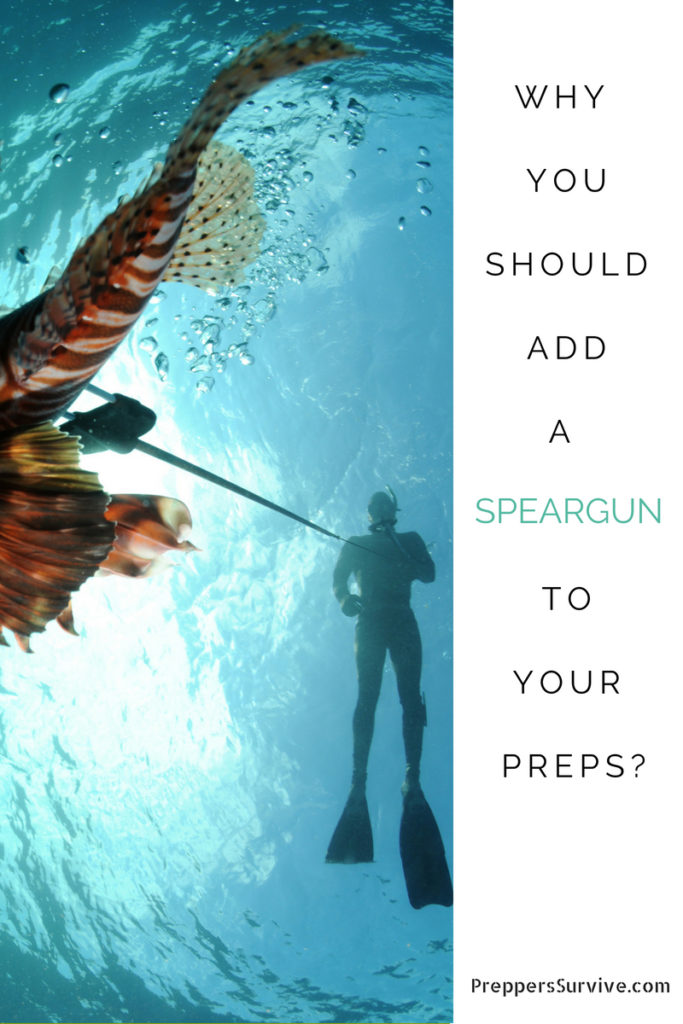 Why every survivalist needs a speargun