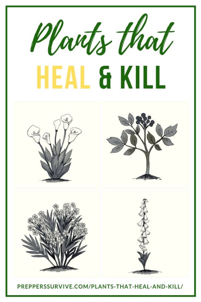 Plants That Heal And Kill