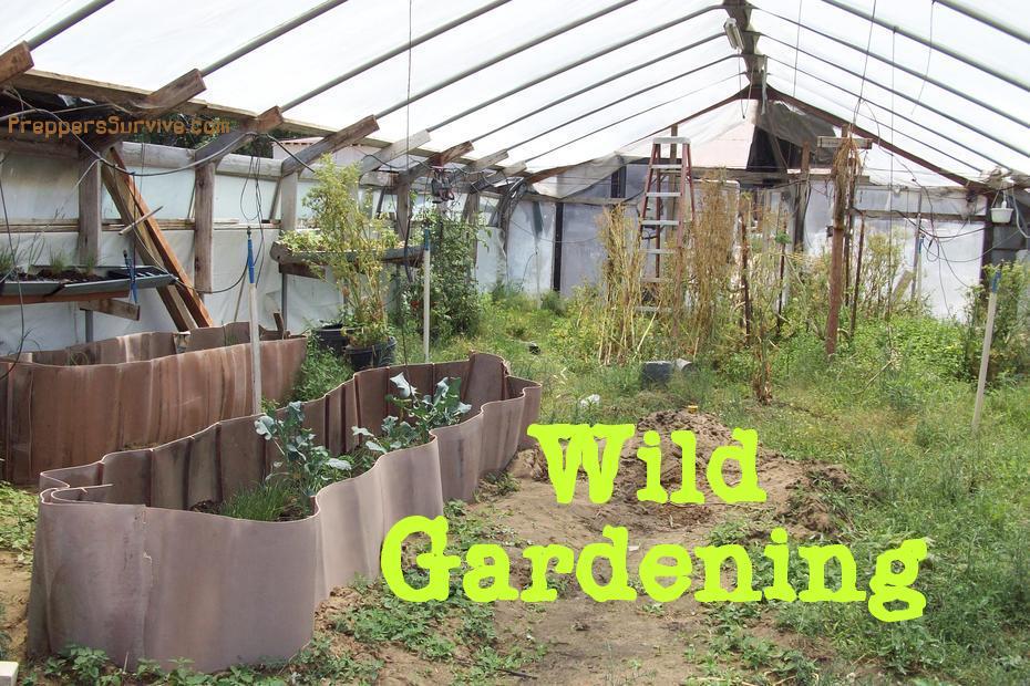 Wild Vegetable Gardening
