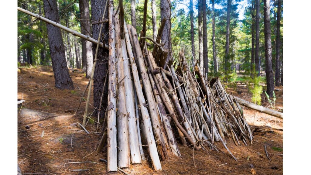 A Frame - Shelter in the Woods