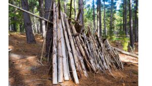 A Frame - Shelter in the Woods