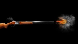 Home Defense Guns - pistols, rifles, shotguns 