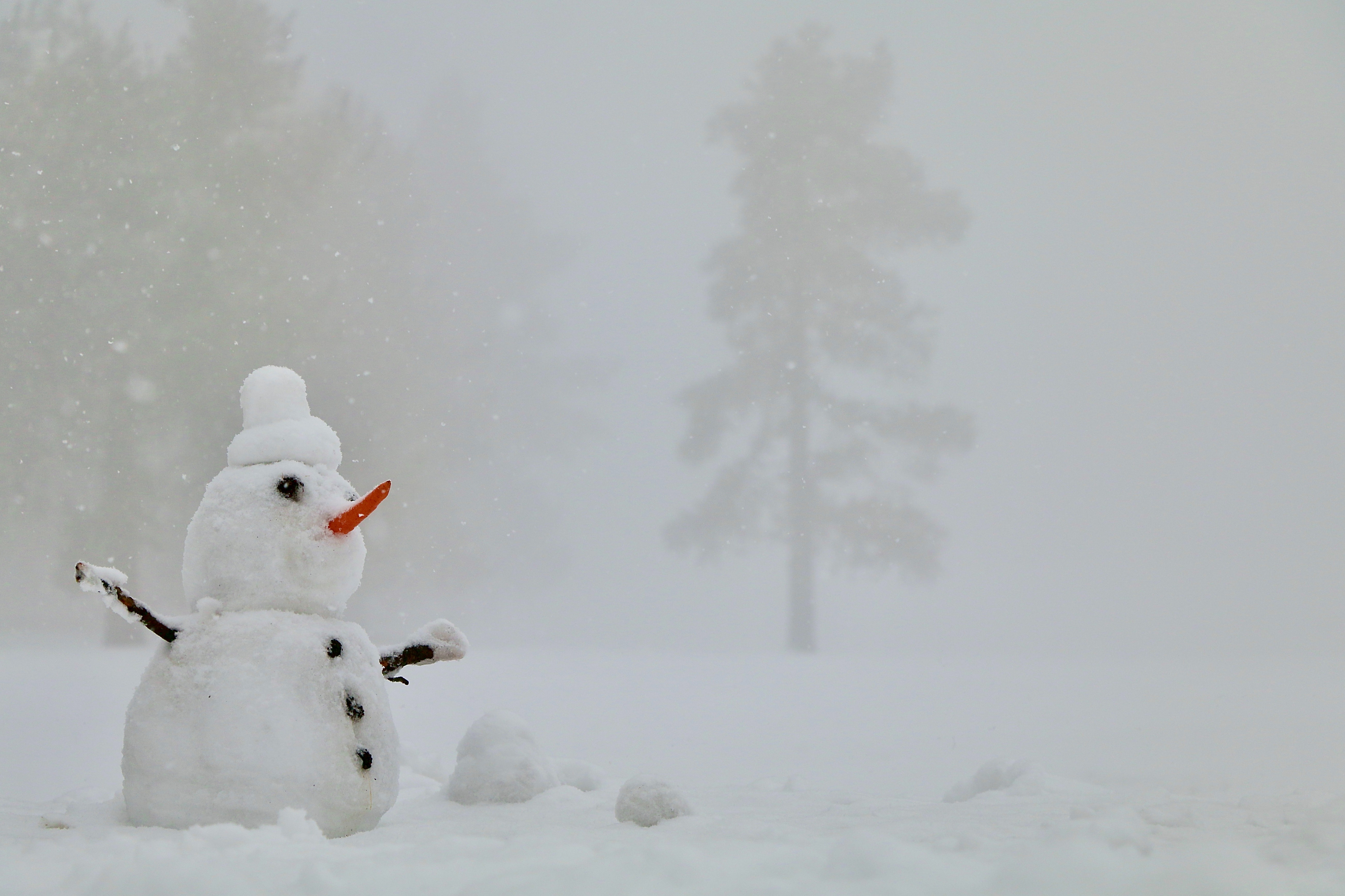 winter camping Snowman 