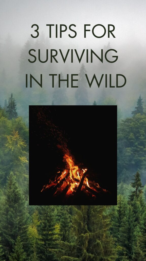 3 Tips for Surviving in the Wild